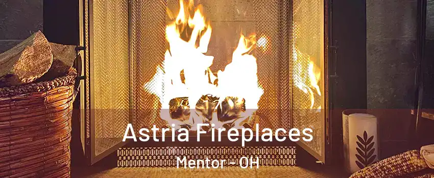  Astria Fireplaces Mentor - OH