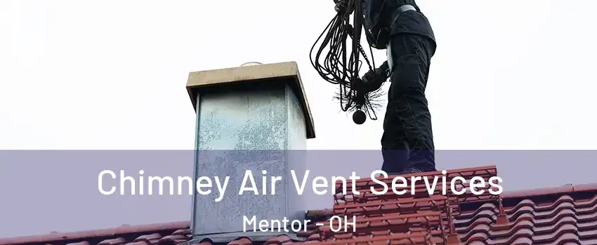  Chimney Air Vent Services Mentor - OH