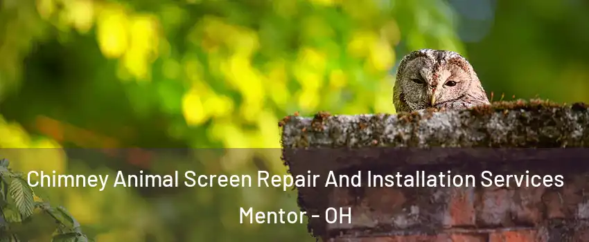  Chimney Animal Screen Repair And Installation Services Mentor - OH