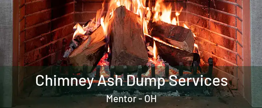  Chimney Ash Dump Services Mentor - OH