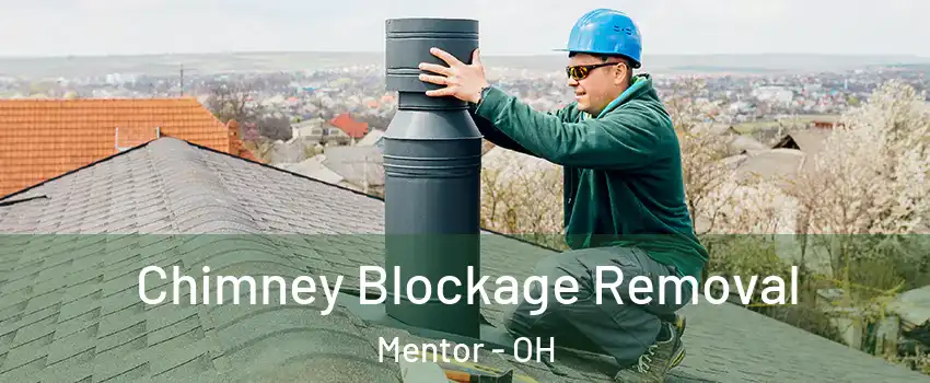  Chimney Blockage Removal Mentor - OH