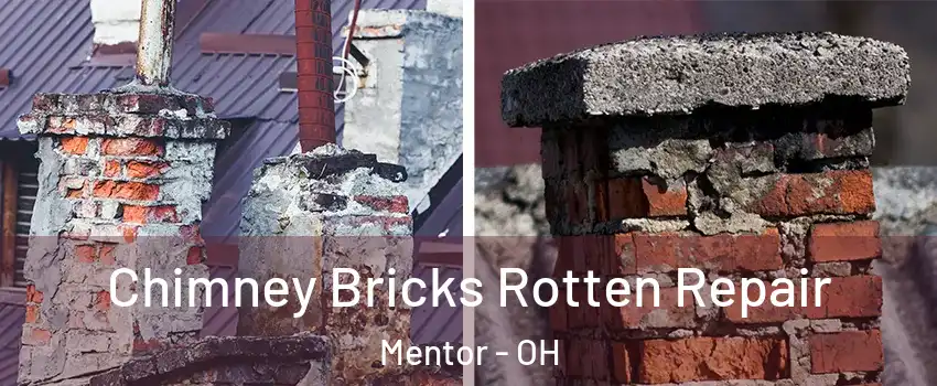  Chimney Bricks Rotten Repair Mentor - OH