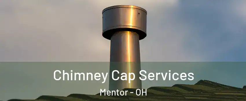  Chimney Cap Services Mentor - OH