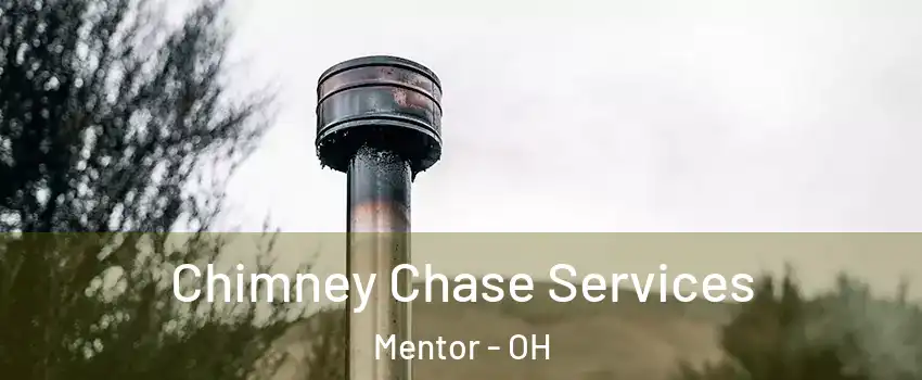  Chimney Chase Services Mentor - OH