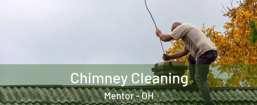  Chimney Cleaning Mentor - OH