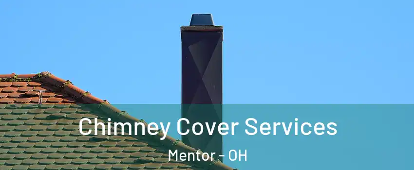  Chimney Cover Services Mentor - OH