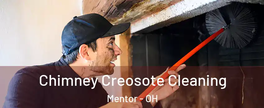  Chimney Creosote Cleaning Mentor - OH