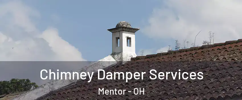  Chimney Damper Services Mentor - OH
