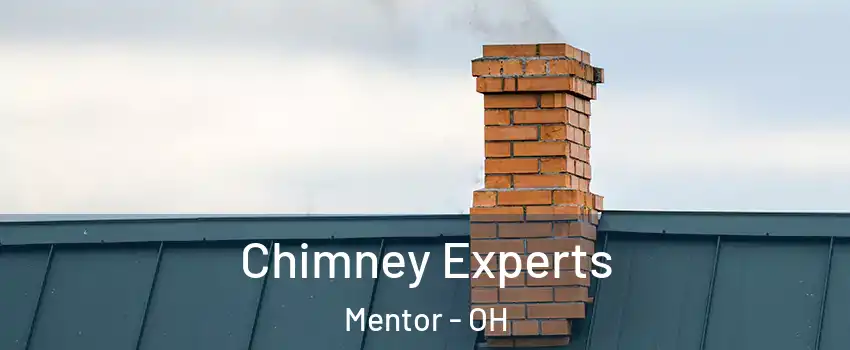Chimney Experts Mentor - OH