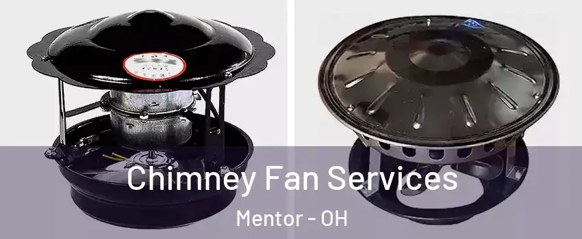  Chimney Fan Services Mentor - OH