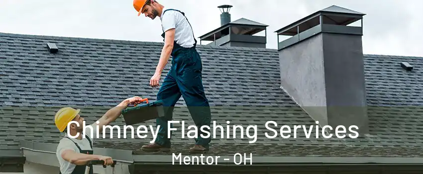 Chimney Flashing Services Mentor - OH