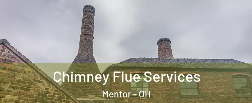  Chimney Flue Services Mentor - OH