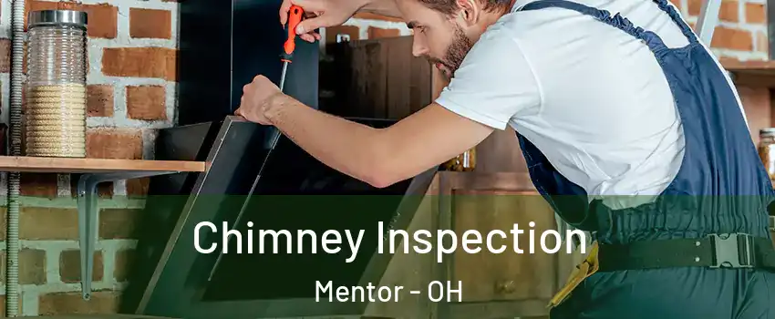  Chimney Inspection Mentor - OH