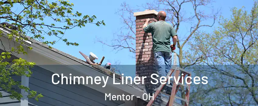 Chimney Liner Services Mentor - OH