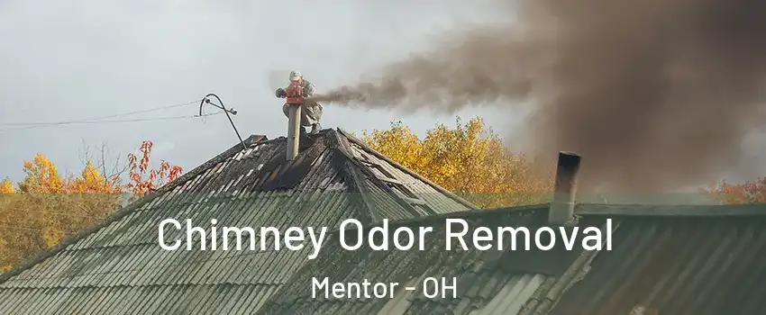  Chimney Odor Removal Mentor - OH