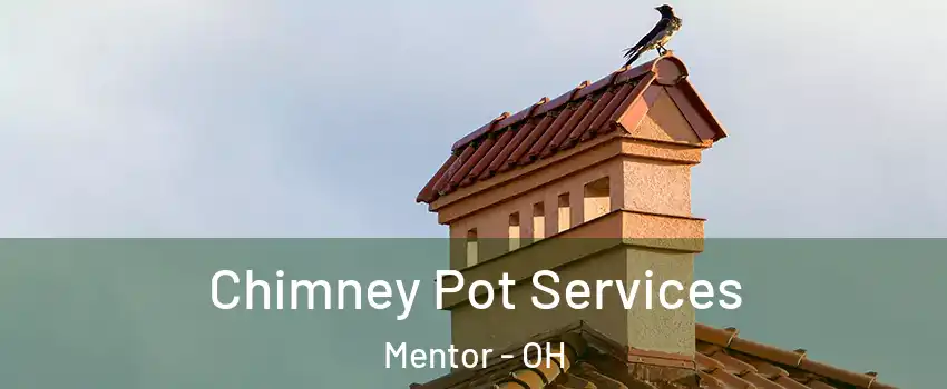  Chimney Pot Services Mentor - OH
