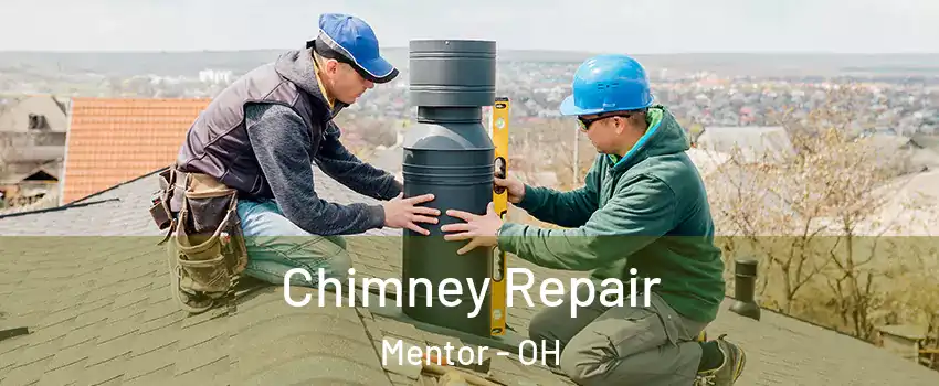  Chimney Repair Mentor - OH