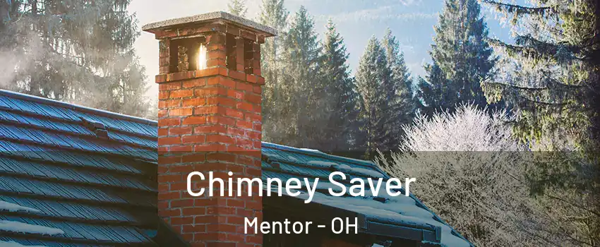  Chimney Saver Mentor - OH