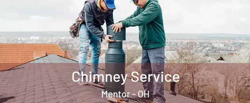  Chimney Service Mentor - OH