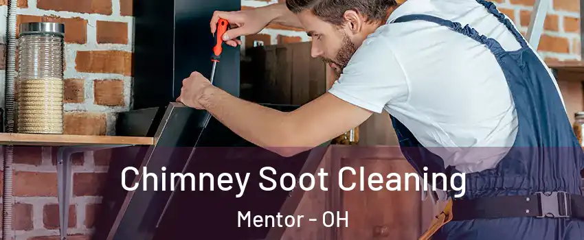  Chimney Soot Cleaning Mentor - OH