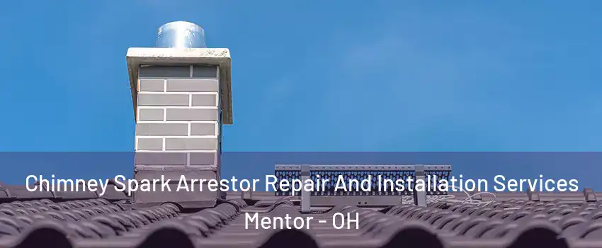  Chimney Spark Arrestor Repair And Installation Services Mentor - OH