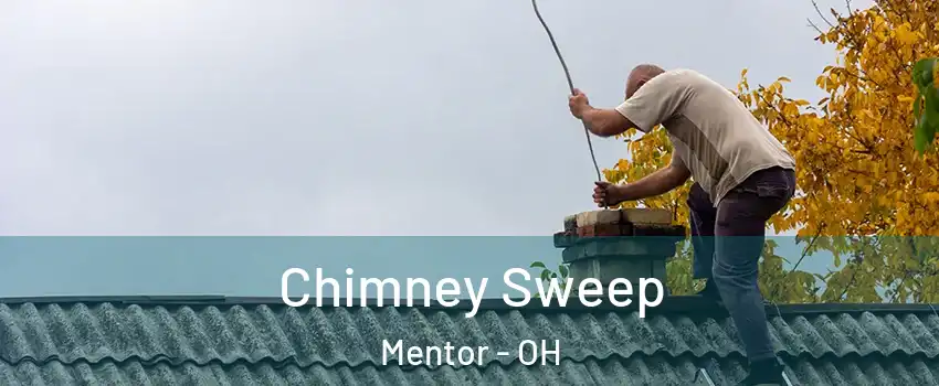  Chimney Sweep Mentor - OH