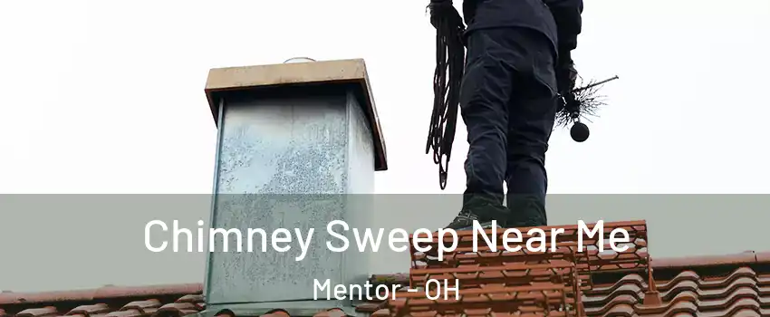  Chimney Sweep Near Me Mentor - OH