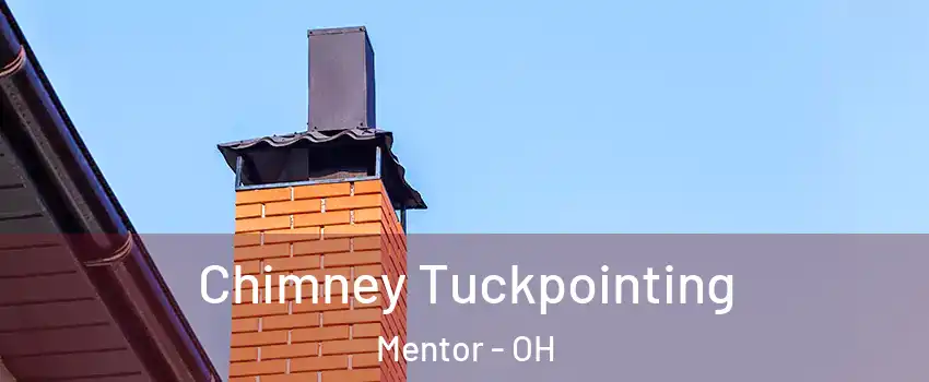  Chimney Tuckpointing Mentor - OH