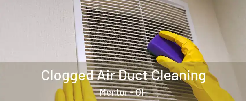  Clogged Air Duct Cleaning Mentor - OH