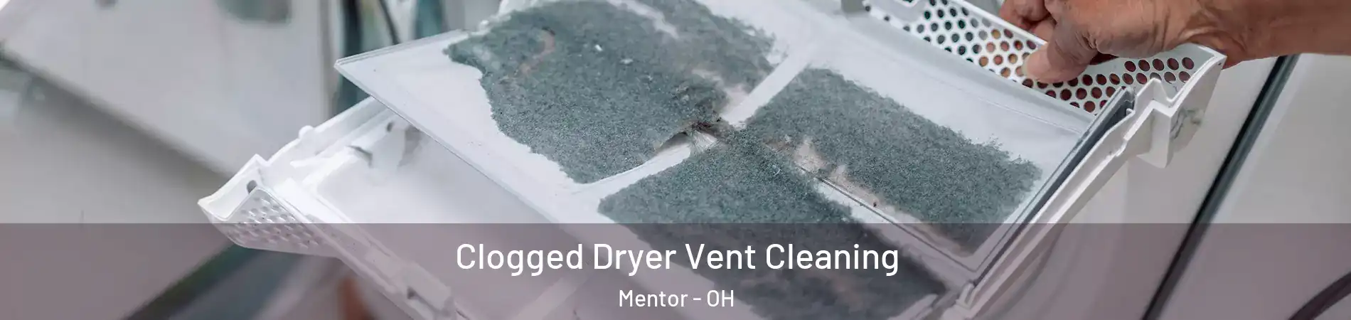  Clogged Dryer Vent Cleaning Mentor - OH
