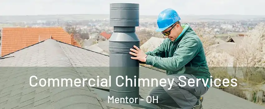  Commercial Chimney Services Mentor - OH