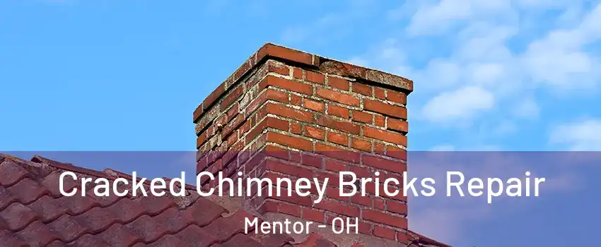  Cracked Chimney Bricks Repair Mentor - OH