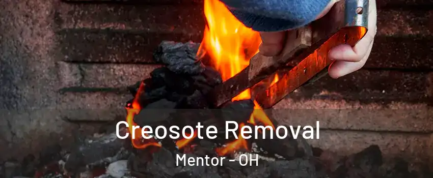  Creosote Removal Mentor - OH