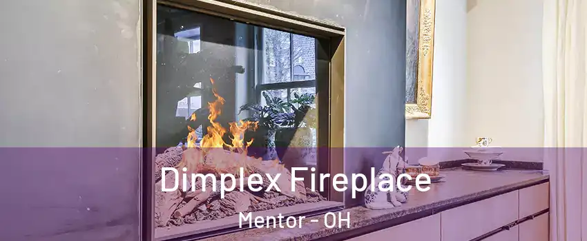  Dimplex Fireplace Mentor - OH