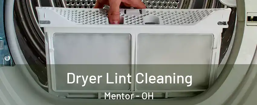  Dryer Lint Cleaning Mentor - OH