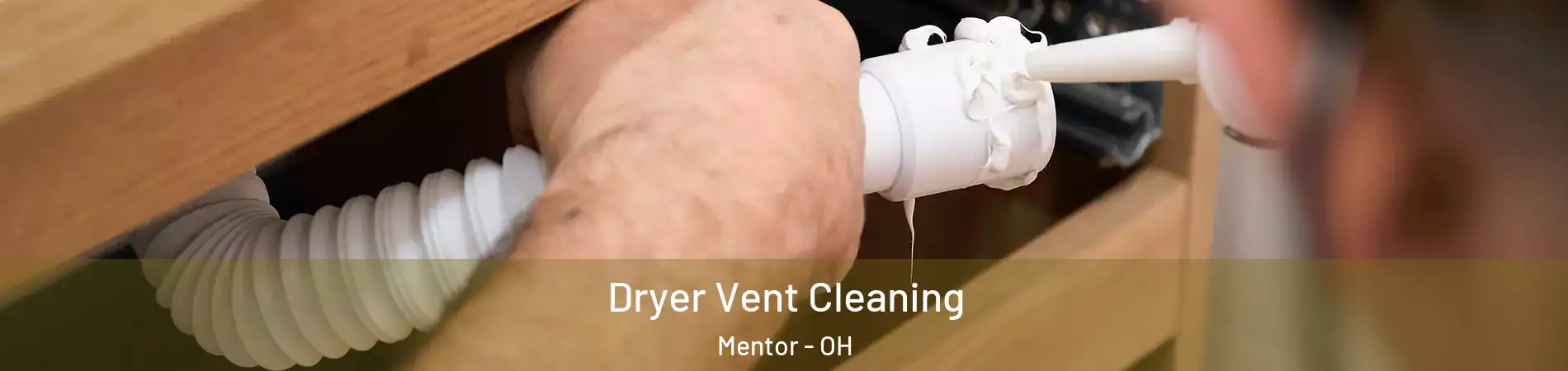  Dryer Vent Cleaning Mentor - OH
