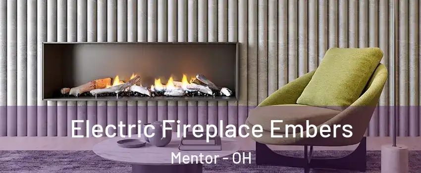  Electric Fireplace Embers Mentor - OH