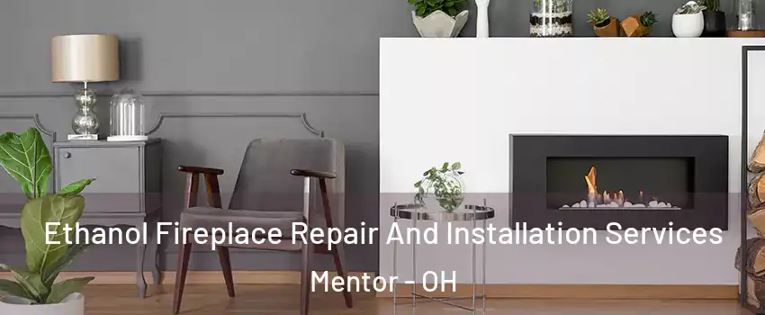  Ethanol Fireplace Repair And Installation Services Mentor - OH