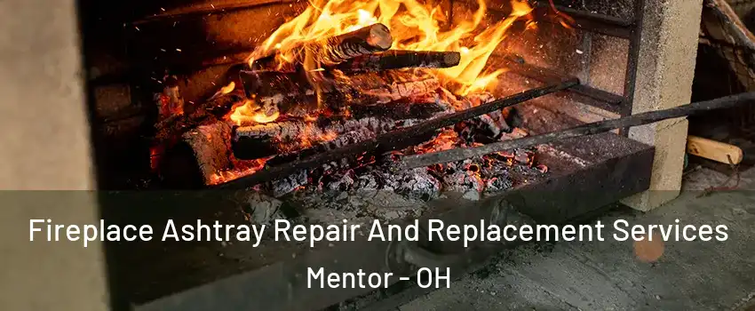  Fireplace Ashtray Repair And Replacement Services Mentor - OH