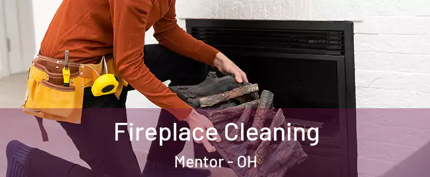  Fireplace Cleaning Mentor - OH