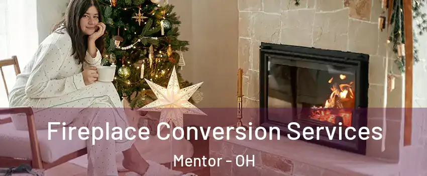  Fireplace Conversion Services Mentor - OH