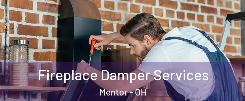  Fireplace Damper Services Mentor - OH