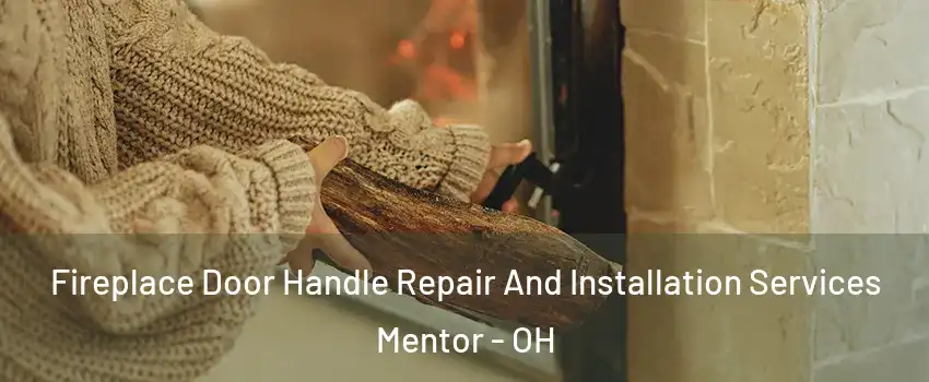  Fireplace Door Handle Repair And Installation Services Mentor - OH
