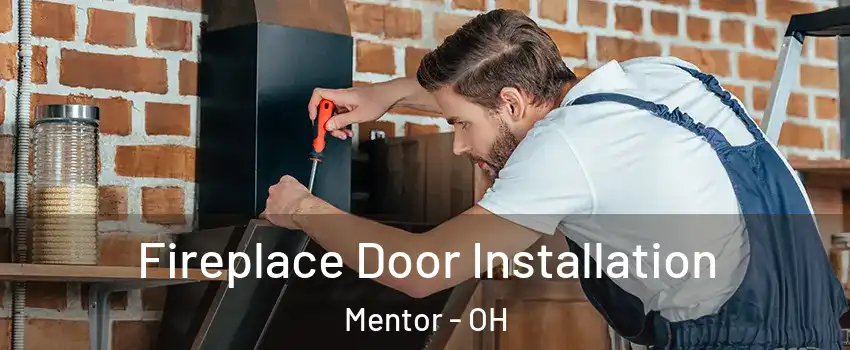  Fireplace Door Installation Mentor - OH