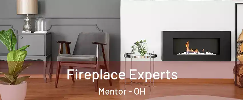  Fireplace Experts Mentor - OH