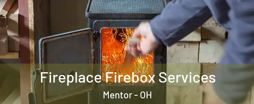  Fireplace Firebox Services Mentor - OH