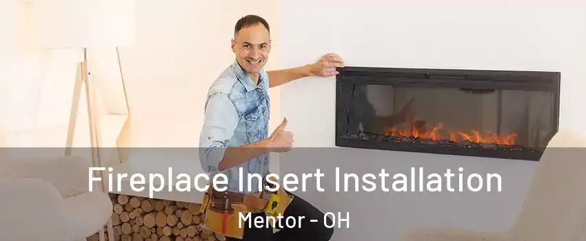  Fireplace Insert Installation Mentor - OH