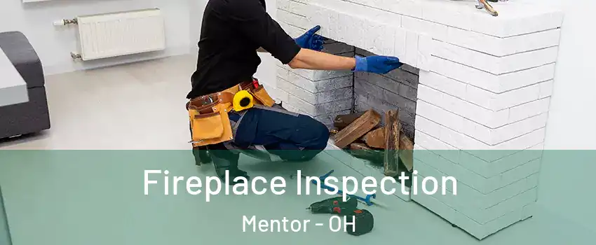  Fireplace Inspection Mentor - OH