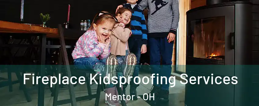  Fireplace Kidsproofing Services Mentor - OH