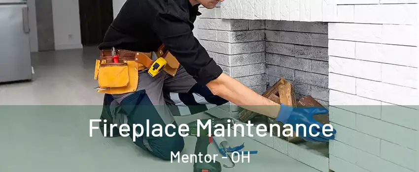  Fireplace Maintenance Mentor - OH